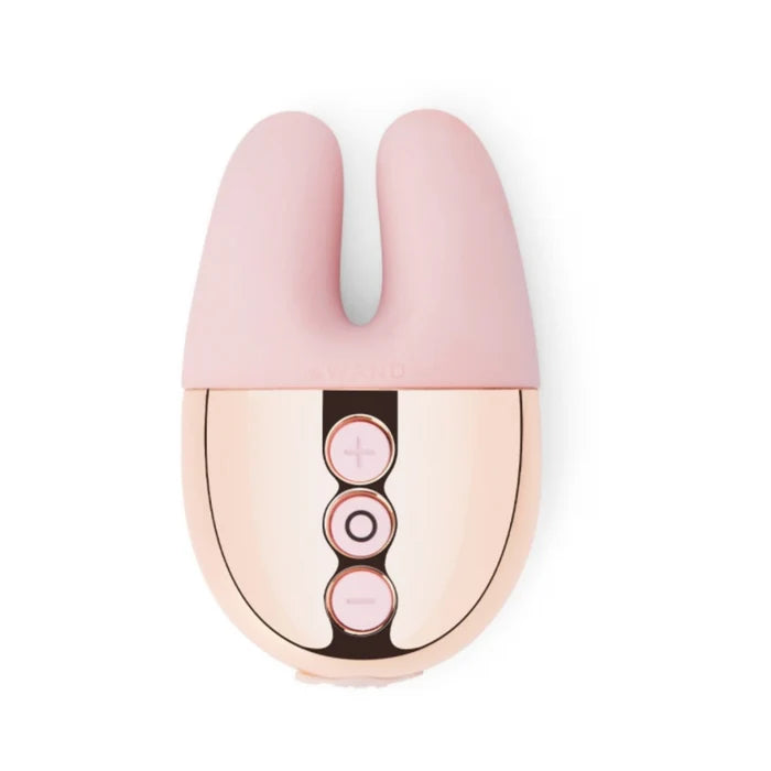 Le Wand Chrome Double Vibe Rechargeable Silicone Mini Vibrator